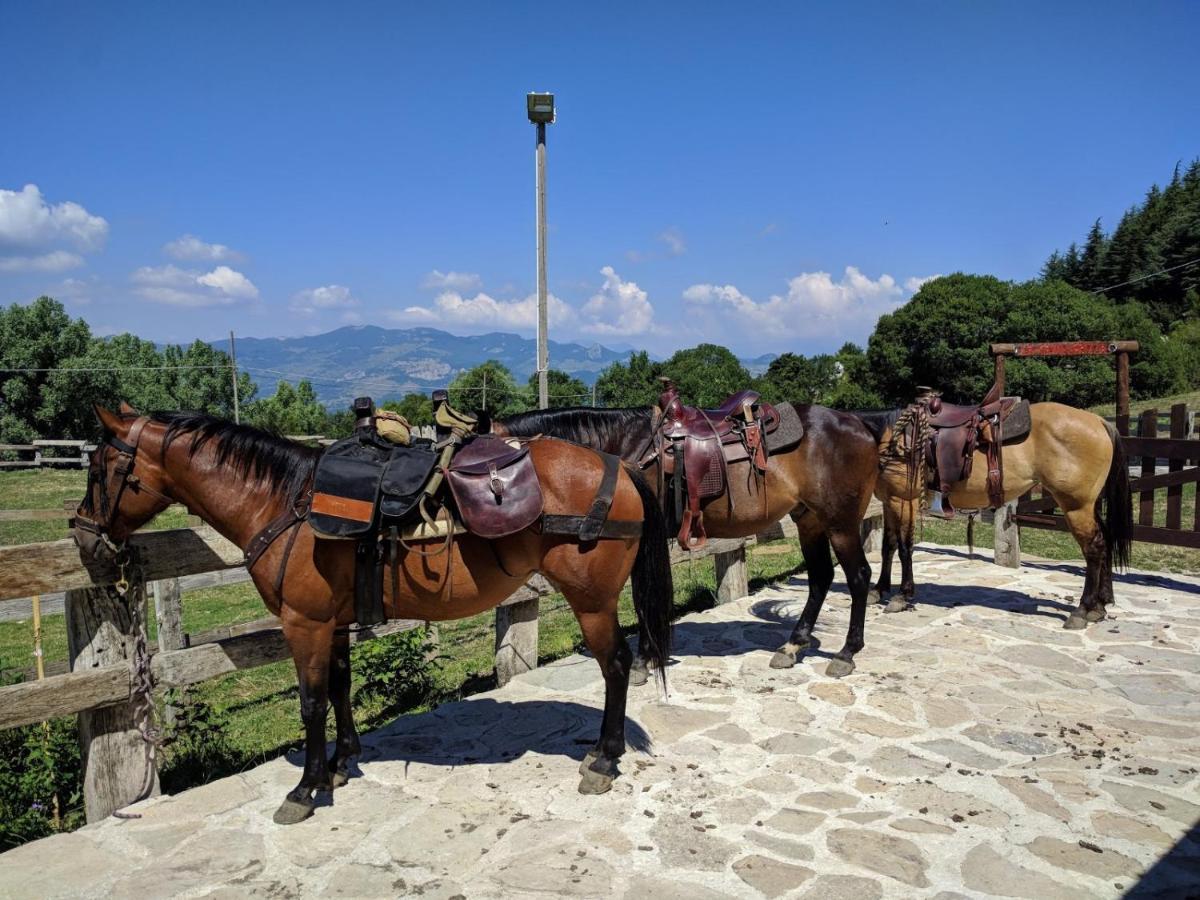 Hotel Capracotta Exterior photo